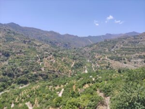 UN OASIS TROPICAL EN GRANADA: EL VALLE DEL RÍO VERDE